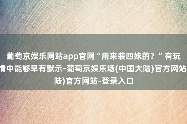 葡萄京娱乐网站app官网“用来装四妹的？”有玩家透露剧情中能够早有默示-葡萄京娱