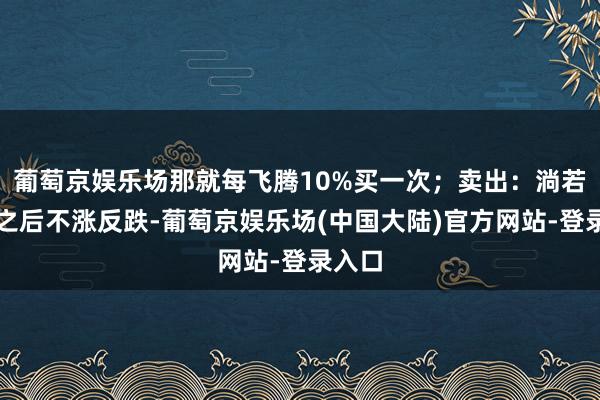 葡萄京娱乐场那就每飞腾10%买一次；卖出：淌若买入之后不涨反跌-葡萄京娱乐场(中国大陆)官方网站-登录入口