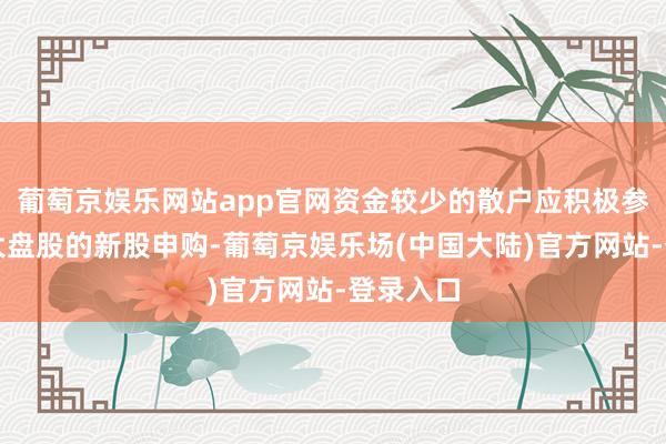 葡萄京娱乐网站app官网资金较少的散户应积极参与超等大盘股的新股申购-葡萄京娱乐场(中国大陆)官方网站-登录入口